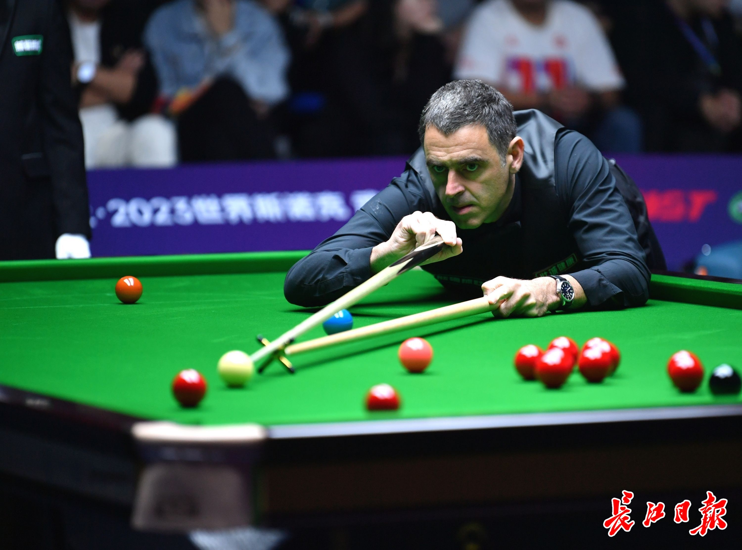 世羽联世界 世羽联世界