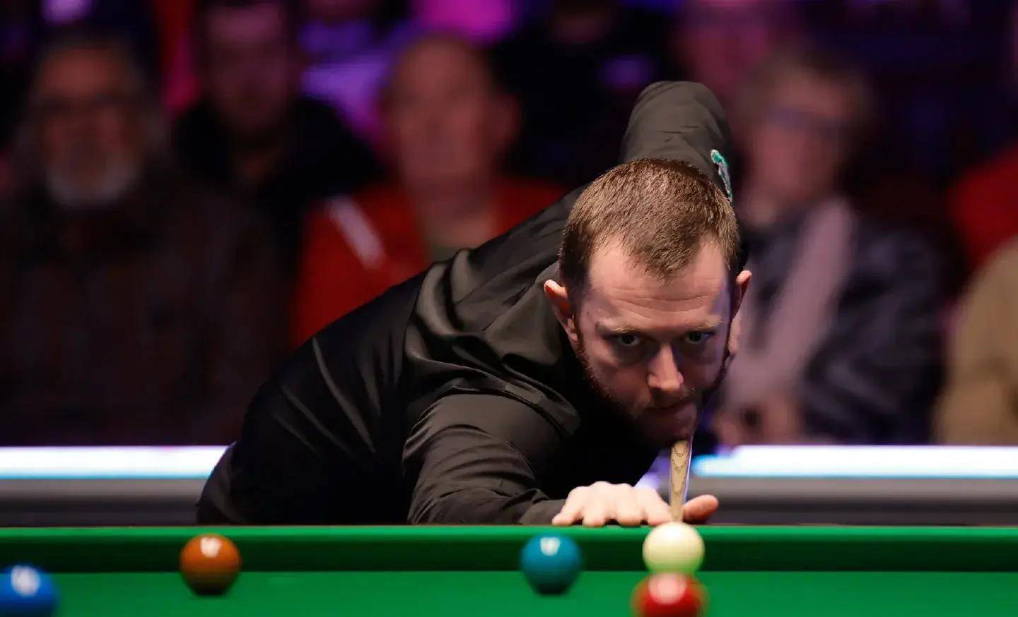 粉丝文化的 粉丝文化的